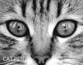 cat-pen